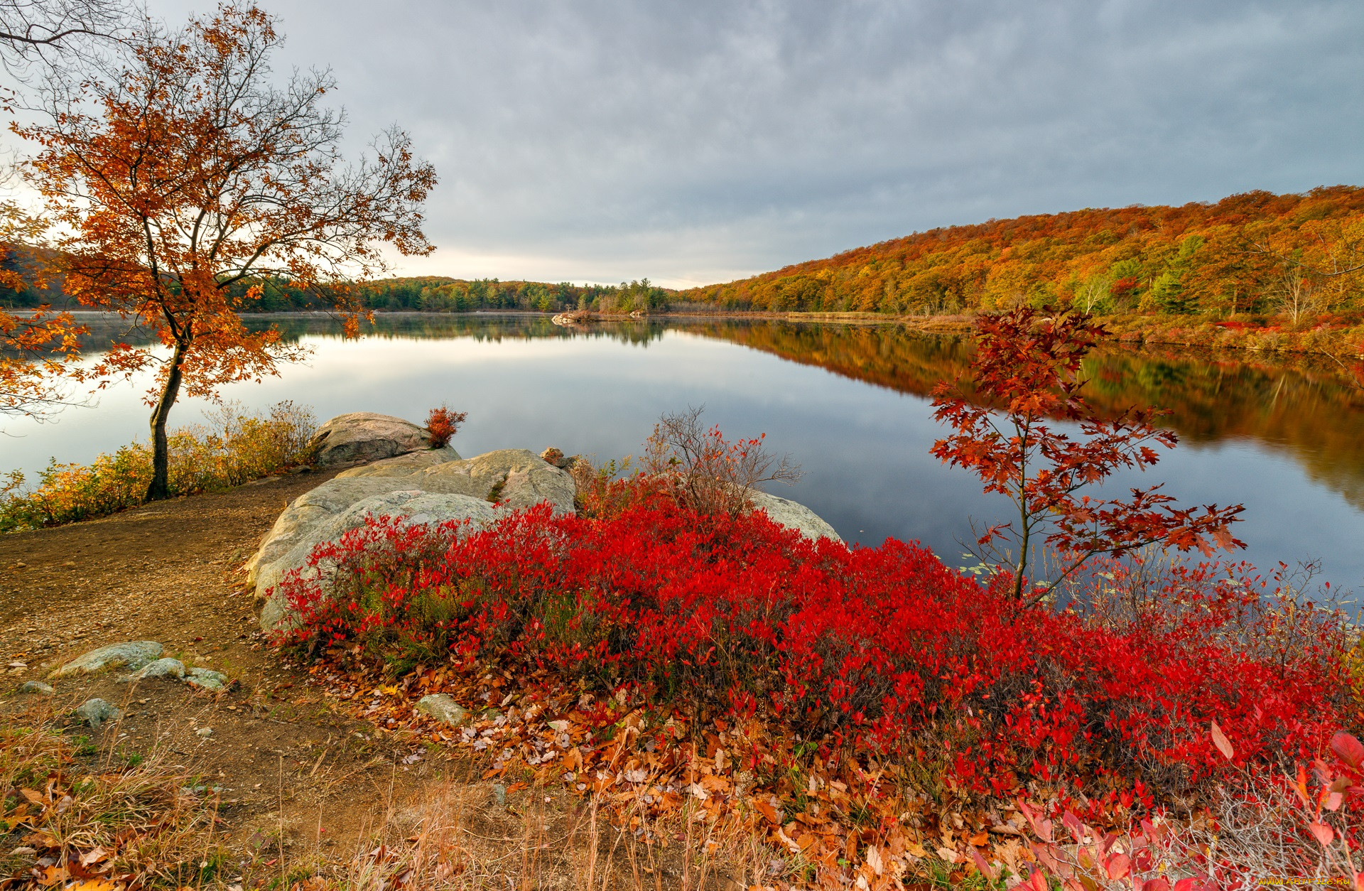 берег реки осень